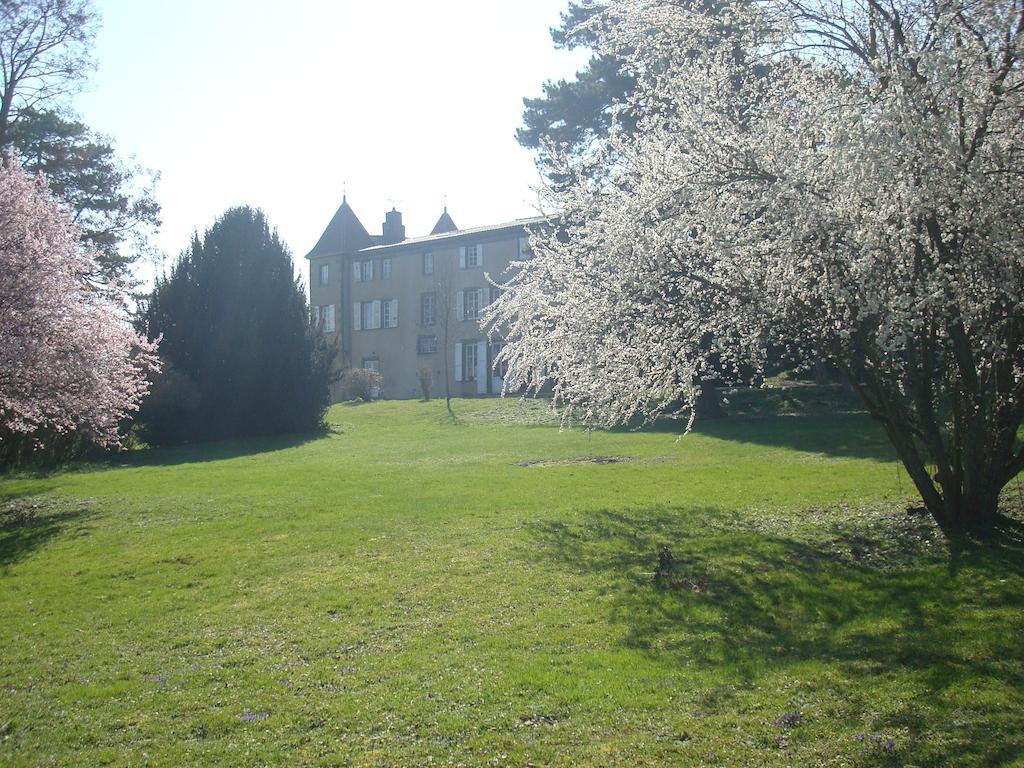Chateau De Bourrassol Bed and Breakfast Menetrol Esterno foto